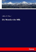 Cover-Bild zum Titel 'Die Wunden der Milz' von 'Ludwig M. Mayer'