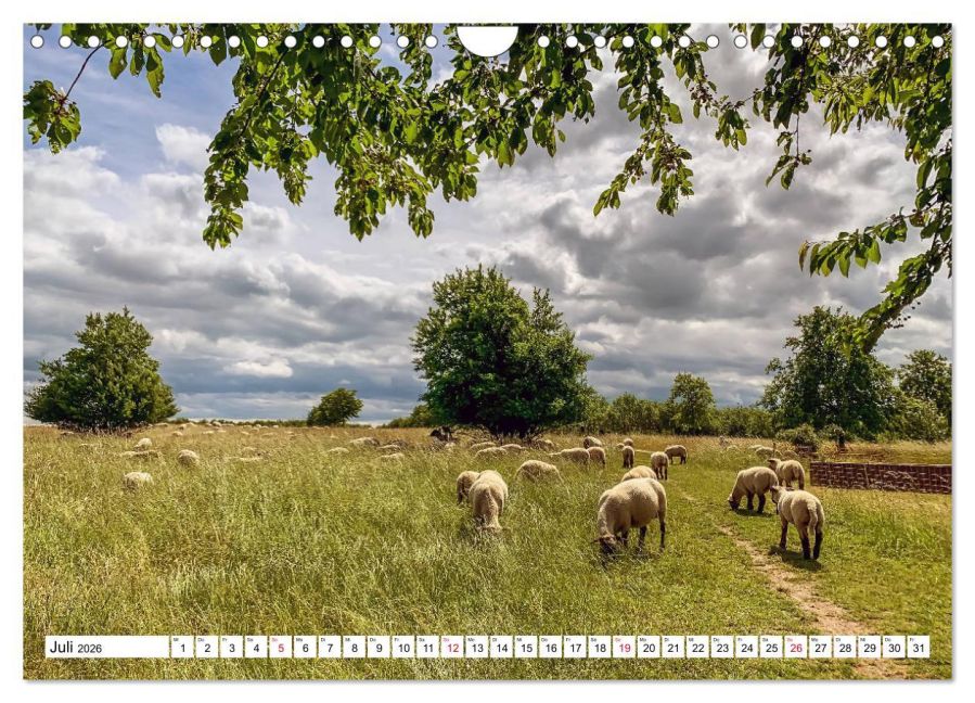 InsideView 12