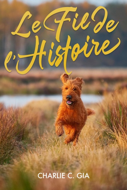 Le fil de l'histoire - Charlie C. Gia
