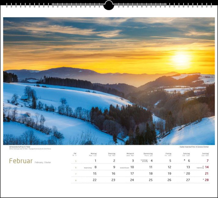 InsideView 2