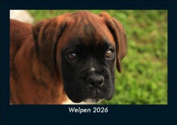 Cover-Bild zum Titel 'Welpen 2026 Fotokalender DIN A5' von 'Tobias Becker'