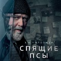 Cover-Bild zum Titel 'The Book of Mirrors' von 'E. O. Chirovici'
