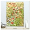 Mohn im Feld (hochwertiger Premium Wandkalender 2025 DIN A2 hoch), Kunstdruck in Hochglanz - Gisela Kruse