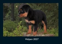 Cover-Bild zum Titel 'Welpen 2027 Fotokalender DIN A4' von 'Kevin Heber, Tobias Schmitt'