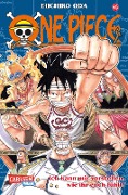 Cover-Bild zum Titel 'One Piece 45. Ich kann mir vorstellen, wie ihr euch fühlt!' von 'Eiichiro Oda'