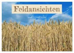 Cover-Bild zum Titel 'Feldansichten (Wandkalender 2026 DIN A4 quer), CALVENDO Monatskalender' von 'Christine Wirges'