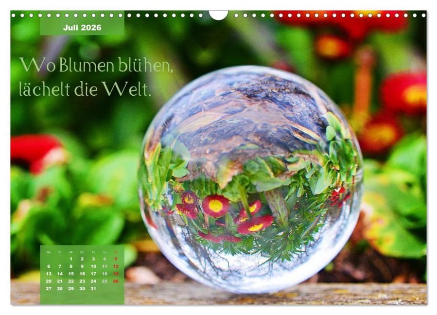 InsideView 12