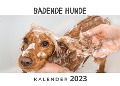 Cover-Bild zum Titel 'Badende Hunde' von 'Tim Fröhlich'
