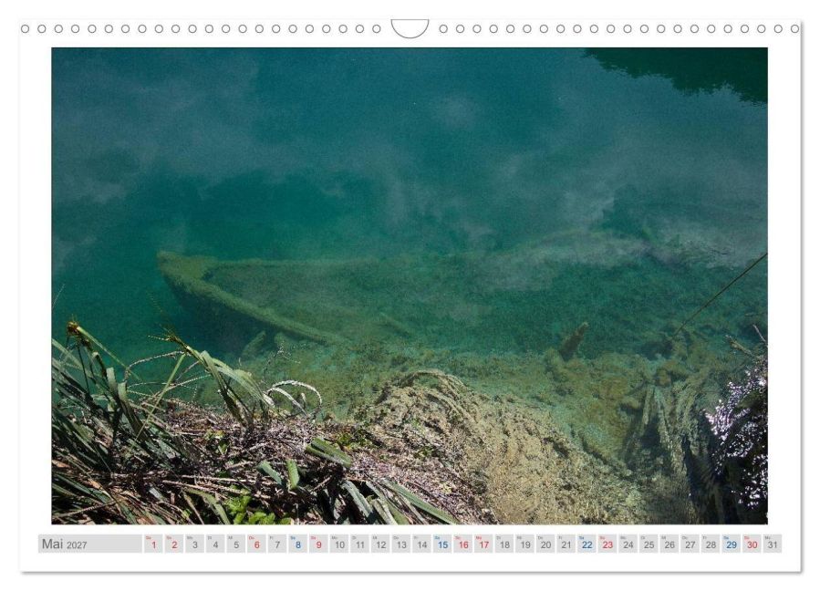 InsideView 10