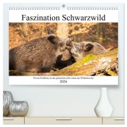 Cover-Bild zum Titel 'Faszination Schwarzwild (hochwertiger Premium Wandkalender 2026 DIN A2 quer), Kunstdruck in Hochglanz' von 'Daniela Fett'