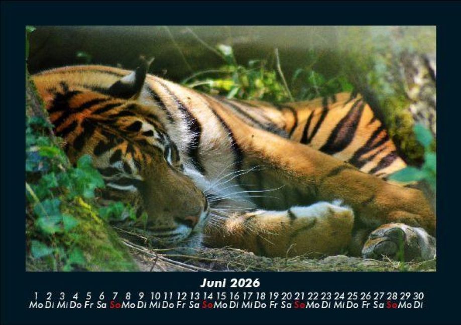InsideView 10