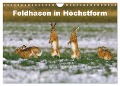 Feldhasen in Höchstform (Wandkalender 2024 DIN A4 quer), CALVENDO Monatskalender - Günter Bachmeier