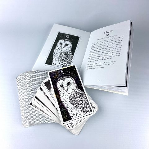 InsideView 11