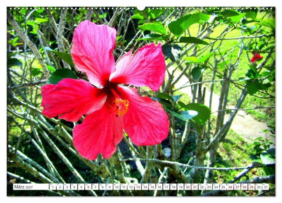 InsideView 7