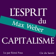 Cover-Bild zum Titel 'Weber, l'esprit du capitalisme' von 'Weber'