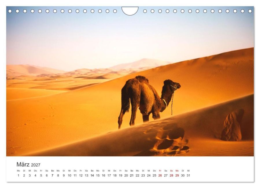 InsideView 8