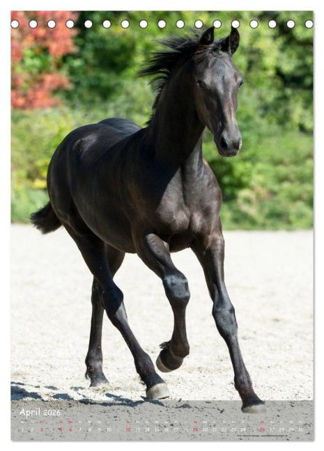 InsideView 9