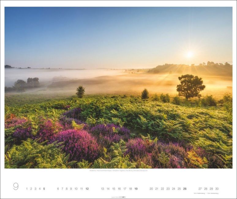 InsideView 9