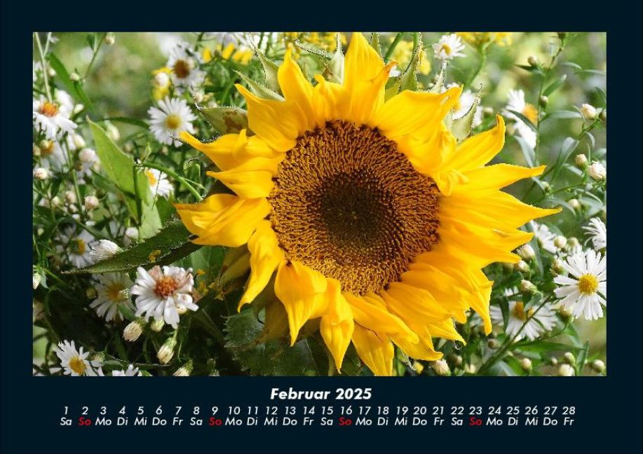 InsideView 6
