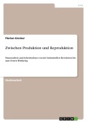 Cover-Bild zum Titel 'Zwischen Produktion und Reproduktion' von 'Florian Greiner'