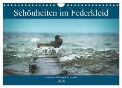 Cover-Bild zum Titel 'Schönheiten im Federkleid - Heimische Wildvögel im Portrait (Wandkalender 2026 DIN A4 quer), CALVENDO Monatskalender' von 'Sabine Grahneis'