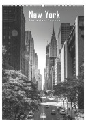 Cover-Bild zum Titel 'New York 2027' von ''