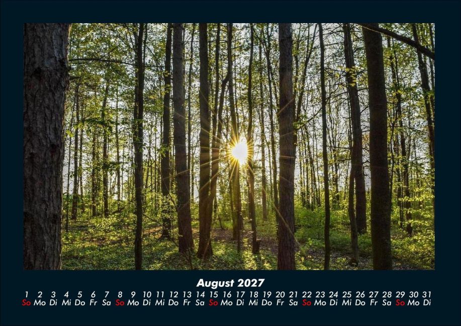 InsideView 12