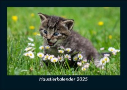 Cover-Bild zum Titel 'Haustierkalender 2025 Fotokalender DIN A5' von 'Tobias Becker'