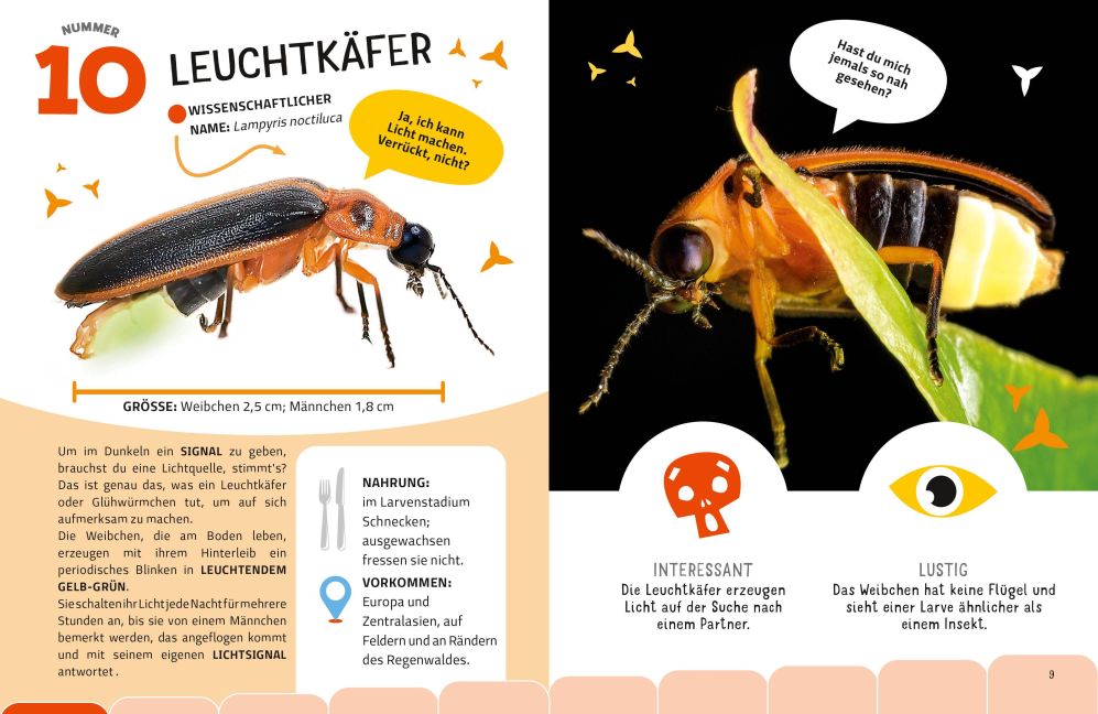 InsideView 4