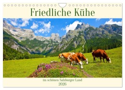 Friedliche Kühe (Wandkalender 2026 DIN A4 quer), CALVENDO Monatskalender - Christa Kramer
