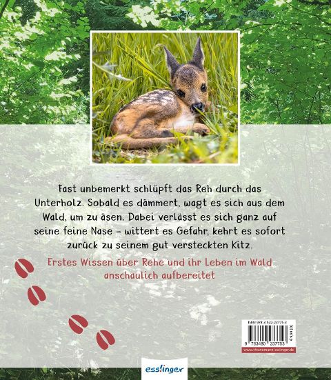 InsideView 5
