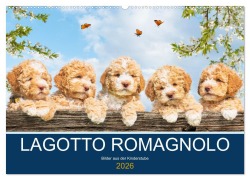 Cover-Bild zum Titel 'Lagotto Romagnolo - Bilder aus der Kinderstube (Wandkalender 2026 DIN A2 quer), CALVENDO Monatskalender' von 'Sigrid Starick'