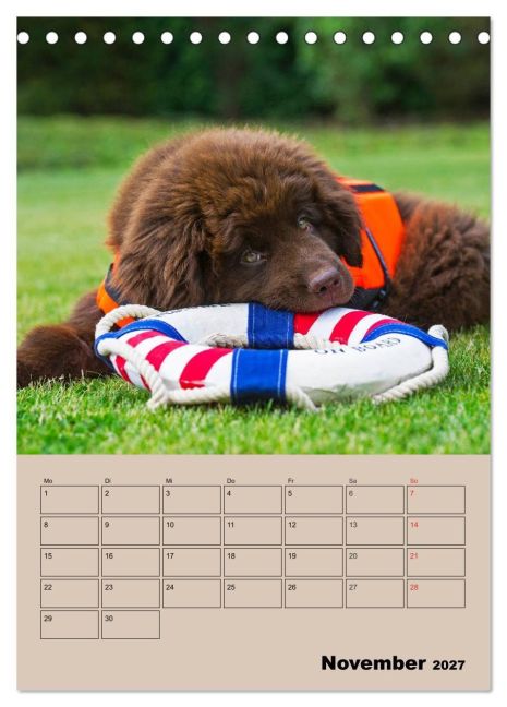 InsideView 3