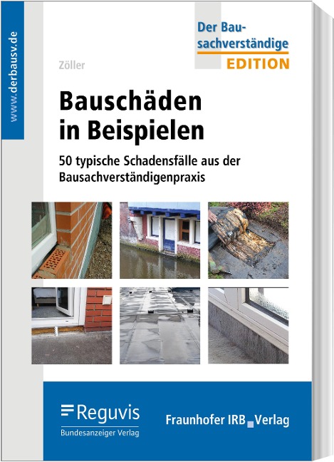 Bauschäden in Beispielen - Matthias Zöller