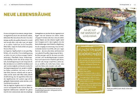 InsideView 6