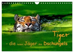 Cover-Bild zum Titel 'Tiger - die leisen Jäger des Dschungels (Wandkalender 2026 DIN A4 quer), CALVENDO Monatskalender' von 'Elke Krone'
