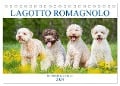 Lagotto Romagnolo - Der Trüffelhund aus Italien (Tischkalender 2024 DIN A5 quer), CALVENDO Monatskalender - Sigrid Starick