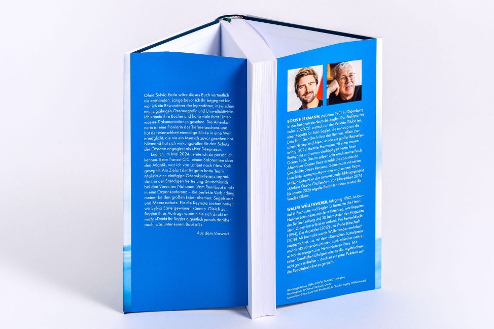 InsideView 4