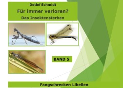 Cover-Bild zum Titel 'Für immer verloren? Band 5' von 'Detlef Schmidt'