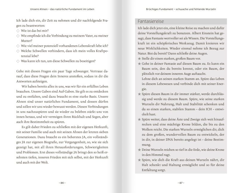 InsideView 4