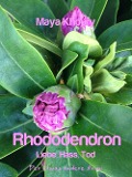 Cover-Bild zum Titel 'Rhododendron' von 'Maya Khoury'