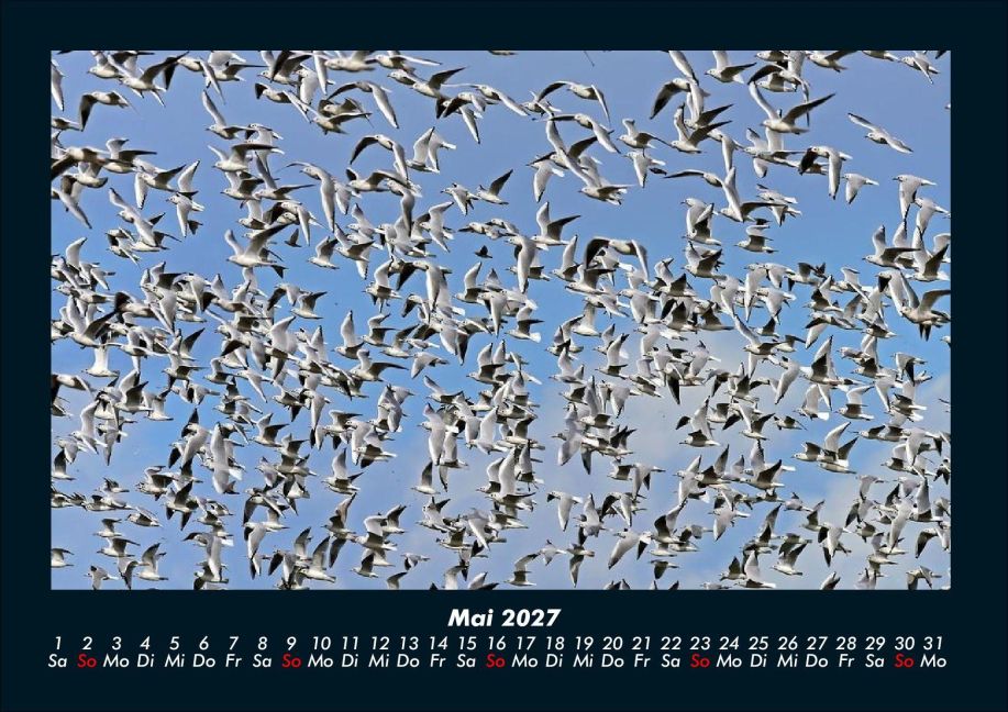 InsideView 9