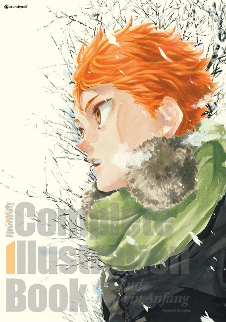 Haikyu!! Complete Illustration Book - Ein Ende und ein Anfang - Haruichi Furudate