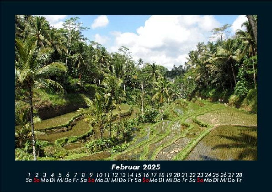 InsideView 6