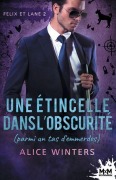 Cover-Bild zum Titel 'Une étincelle dans l'obscurité (parmi un tas d'emmerdes)' von 'Alice Winters'