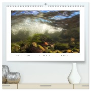 Cover-Bild zum Titel 'Unter Wasser in Bächen und Flüssen (hochwertiger Premium Wandkalender 2026 DIN A2 quer), Kunstdruck in Hochglanz' von 'Martin Sczyrba'