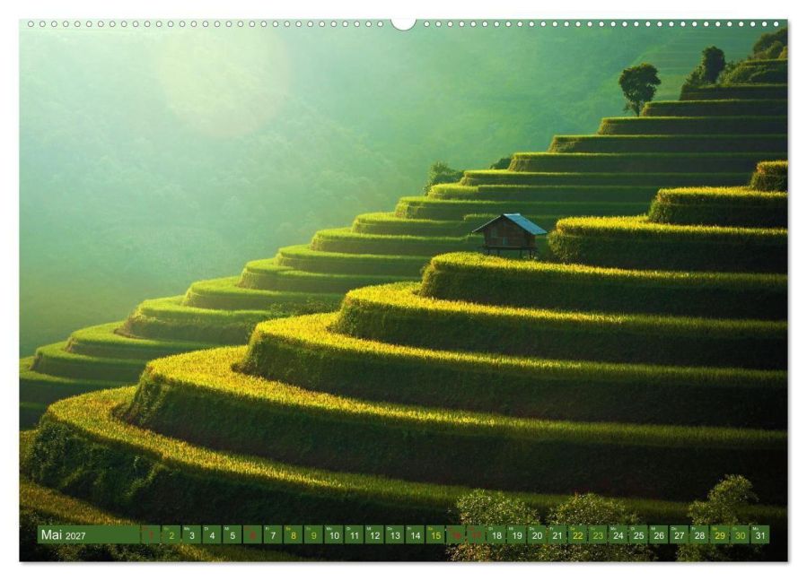 InsideView 10