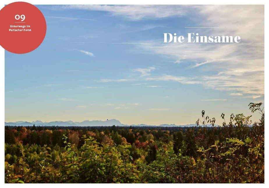 InsideView 5