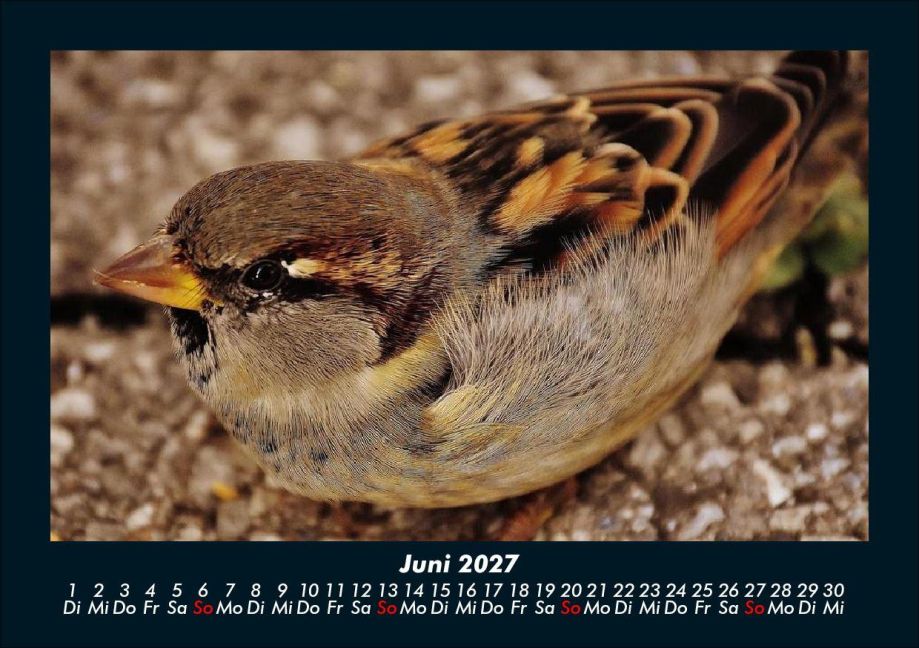 InsideView 10