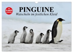 Cover-Bild zum Titel 'Pinguine - Watscheln im festlichen Kleid (Wandkalender 2026 DIN A3 quer), CALVENDO Monatskalender' von 'Elisabeth Stanzer'